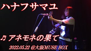 ハナフサマユ 「アネモネの果て LIVE ver.」＠MUSEBOX（2022.5.22）