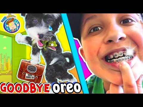 SAYING GOODBYE TO PUPPY & Hello to Mikes New BRACES! (FUNnel Vision Vlog)