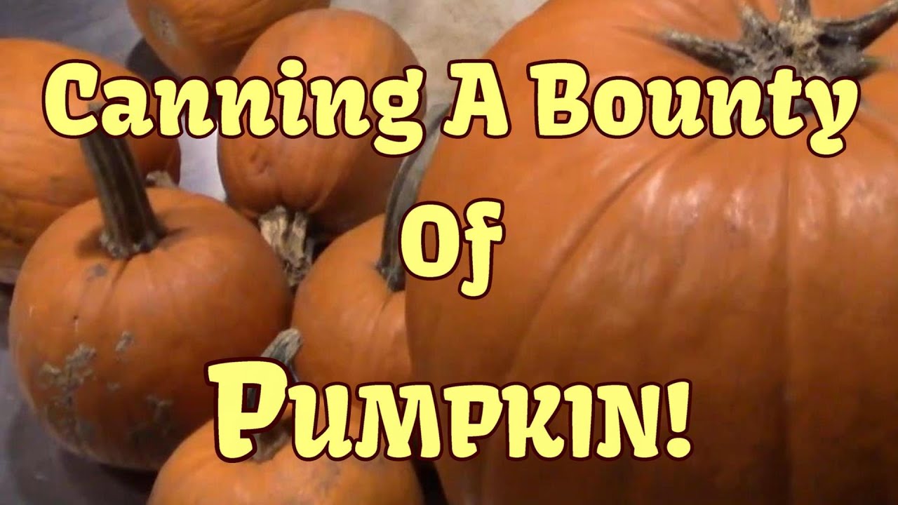Canning a BOUNTY of Pumpkin!