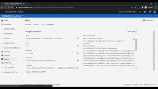 Cornerstone SBX Getting Started with Adobe Experience Platform screenshot 2