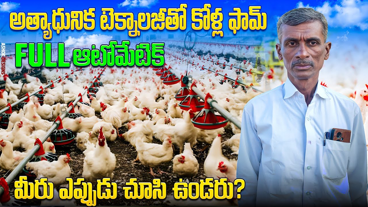 అత్యాధునిక టెక్నాలజీ కోళ్ల ఫర్మ్ || automatic poultry farm || poultryfarming 