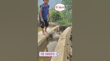 Tuổi thơ ai đã từng đi bắt chuồn chuồn và thất vọng như này 🥰🥰🥰 #shorts