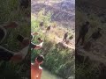 بالفيديو جنود العدو الإسرائيلي على ضفاف نهر الوزاني بالفيديو جنود العدو الإسرائيلي على ضفاف نهر الوزاني