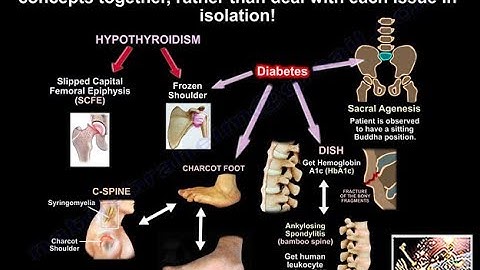 Teaching Orthopaedics Is Not Easy - Everything You Need To Know - Dr. Nabil Ebraheim
