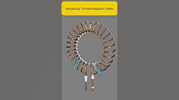 Visualizing Toroidal Magnetic Fields 🔵 | Science & Fusion Energy Explained (USA)