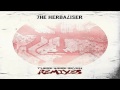 09 The Herbaliser - What You Asked For (Muneshine Remix) [Department H]