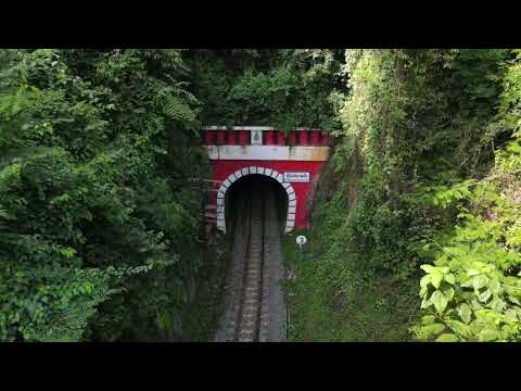 Doppe Kokke Sweet Harmony