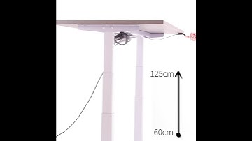 Zit-Sta Bureau Linak Smartdesk | Worktrainer