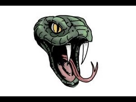 how to draw a realistic snake head