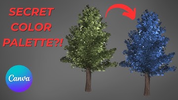 How to Use Color Palette in Canva | Full Guide 2025