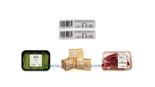 Auto Sticker Label Applicator On Box Carton Flat Top Surface Labeling Machine With Online Printing