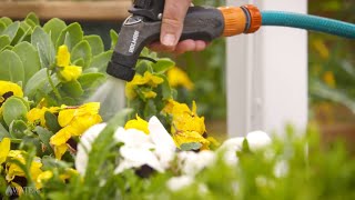 Tips for hand watering