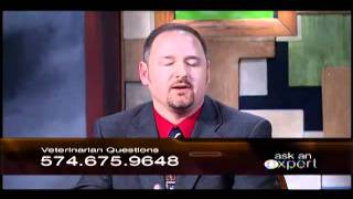 Details Ask an Expert - Veterinarians Part 3 Guide