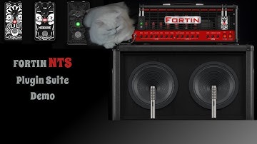 Fortin NTS Suite| Metal Guitar Demo | 2019 HD