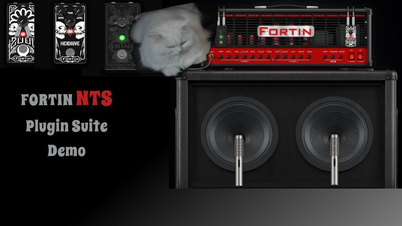 Fortin NTS Suite| Metal Guitar Demo | 2019 HD