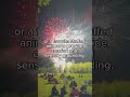 Tips from an OT for a calmer 4th of July 🎆