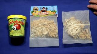 Who Sells The Best Ladybugs Part 2