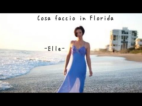 Video: I periti pubblici sono autorizzati in Florida?