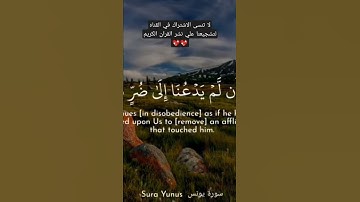 حالات واتس اب قران كريم بصوت جميل جدا 🖤🖤🍃