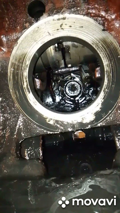 Rus talabalari seks partiyasi