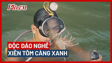 Theo chân ‘người nhái’ xiên tôm càng trên sông Đồng Nai - PLO