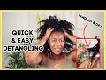 SEND HELP! How I Detangle My Type 4 Natural Hair | KandidKinks
