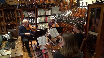 Jam Session at Animato Strings - Mario Gadda String Quartet