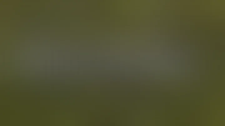 AVOID These 7 Drying Mistakes for Perfect Cannabis Every Time