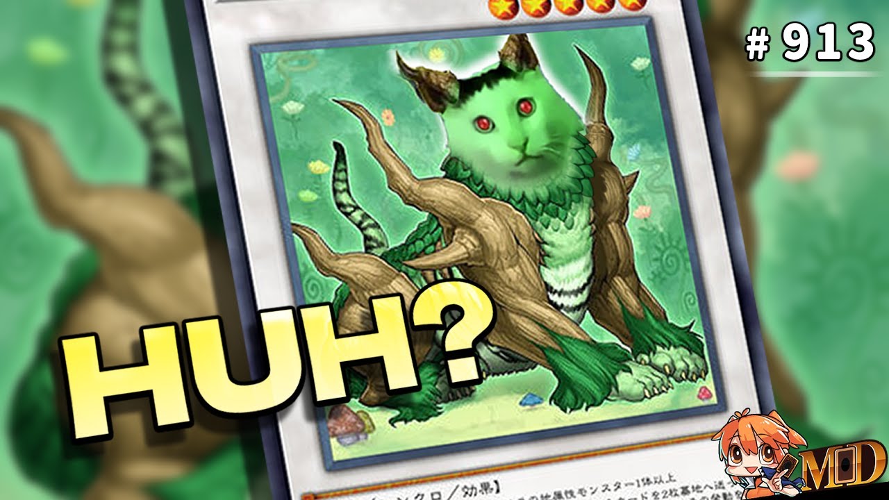 【遊戲王MD回放精選】#913 OKOK，但那個好像是魔法卡