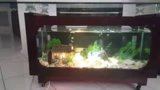 Home made aquarium.