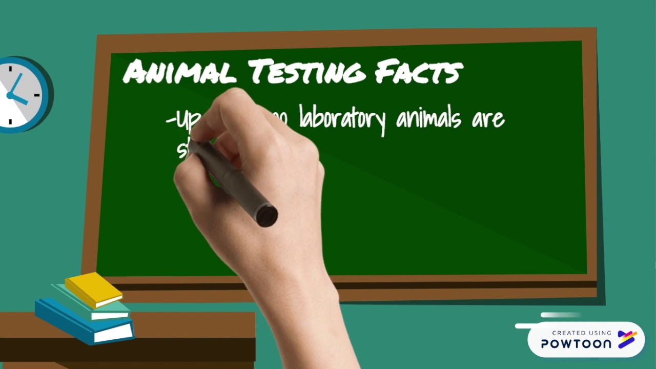 Cosmetic Animal Testing | Sustainable Development Goal 12