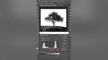 Remove Trees Background in Photoshop Tutorial