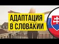 Адаптация в Словакии для детей и взрослых 🇸🇰 Жизнь в Словакии с нуля
