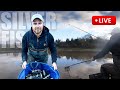 Live match loads of fish fishing fish tutorial