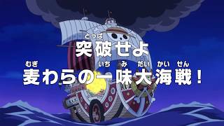 One Piece Episode 863 English Sub preview HD