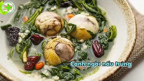 Ngải Cứu - Vị Thuốc Tuyệt Vời Cho Sức Khỏe - VTC Sống Khỏe Ngày Nay #thucpham #thucphamtotchosuckhoe