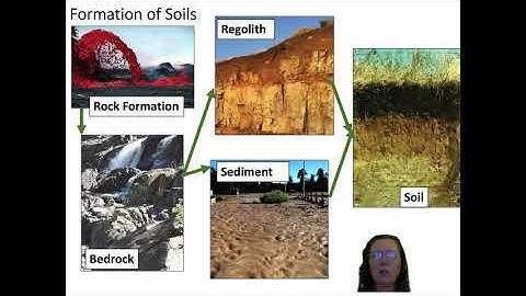 What are soils? (Week 4, Lecture 1)