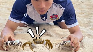 how to catch sand crabs by hand