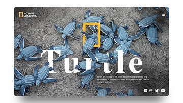 How I Design Trending Dribbble Shot in Adobe XD | Latest XD Tutorial 2020