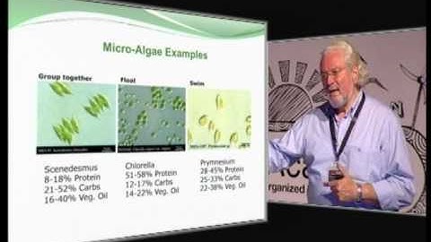 What Greece needs now: A new vision | George Tsiropoulos | TEDxAcademy