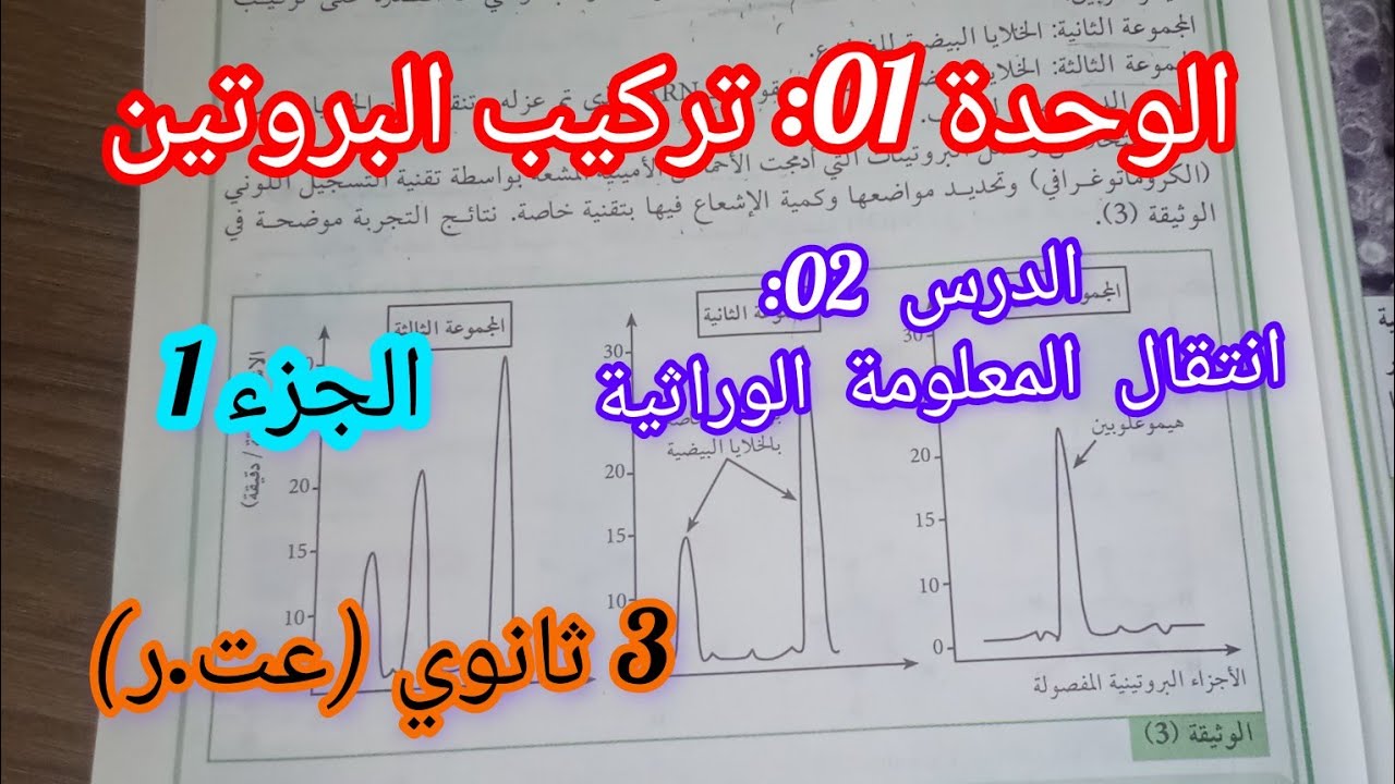 الدرس 02: انتقال المعلومة الوراثية(الجزء1) + التدريب على منهجية المصادقة على الفرضية|| 3 ثانوي(عت.ر)