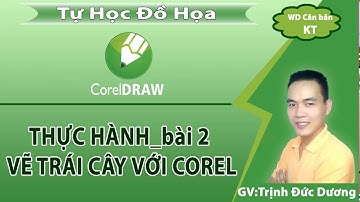 [Học Corel qua từng ví dụ cơ bản] Bài 2 - Thực hành vẽ trái cây bằng mesh tool