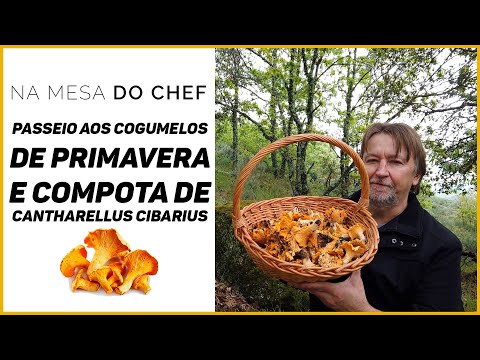 Vídeo: Você pode comer cogumelos da primavera?