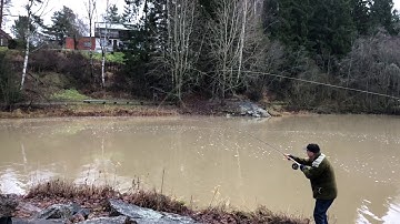 Overhead casting with switch fly rod