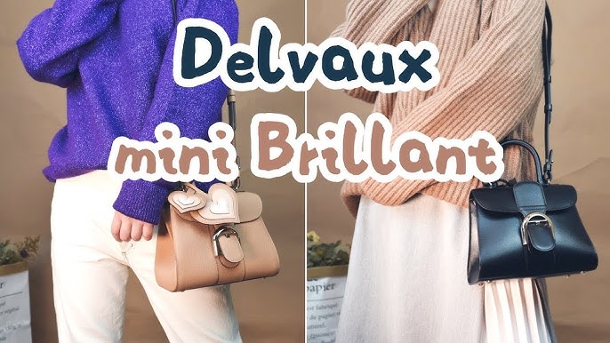 A review for the vintage lovers: my 1974 Delvaux Brillant PM : r/handbags