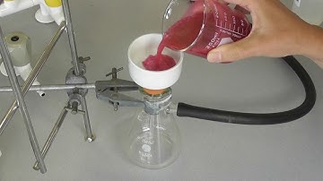 Vacuum Filtration - Science@Waikato