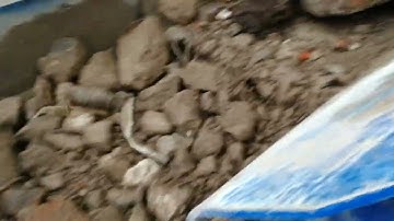 Jaw Crusher KleeMann MC110EVO in action. Crushing concrete processing.