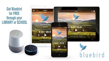 Learn 163 languages for free through your local public library or school