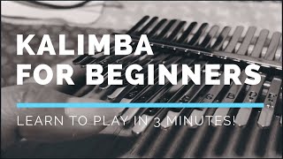 How to Play the Kalimba | Tutorial for Beginners screenshot 4