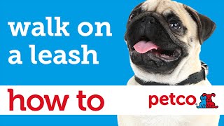 How to Teach Your Dog to Walk on a Leash (Petco)